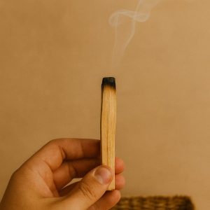 PALO SANTO
